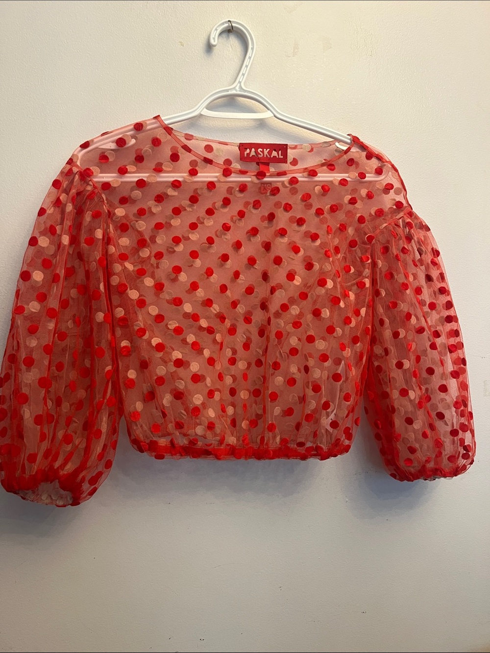 PASKAL Red Polka-Dot Sheer Puff Sleeve Crop Top
